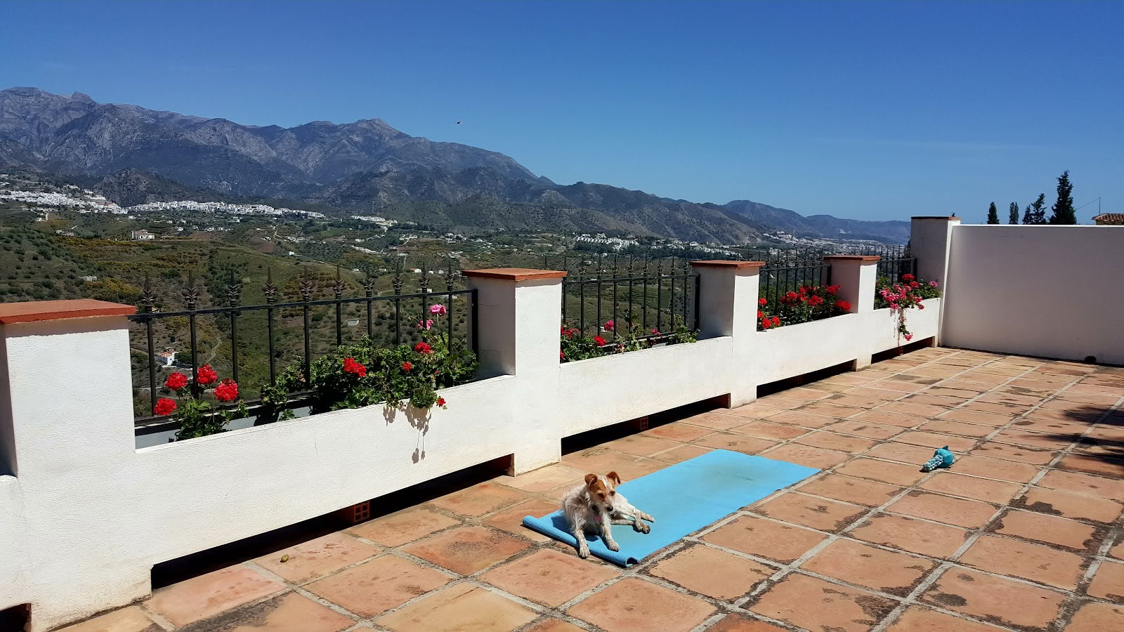 Yoga-Urlaub Paradiso. La Rejana