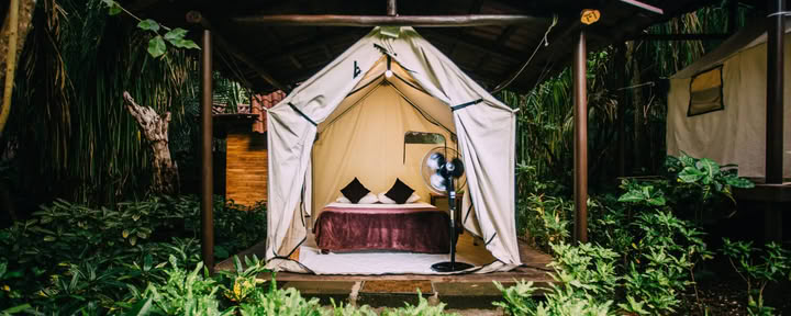 Plattformzelt ohne Klimaanlage – nur Queensize-Bett