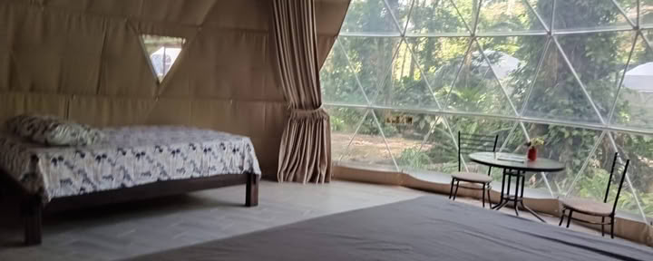 Privater Regenwald-Dom
