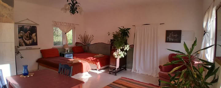 Studio-Apartment Liebevögel